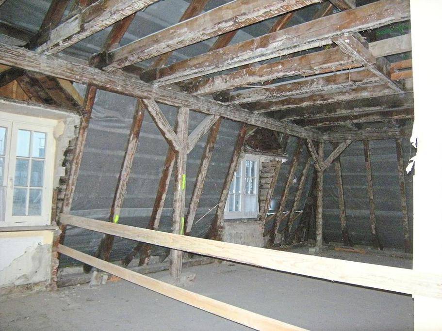 Holzbock im Dachstuhl des Alten Amtshauses entdeckt